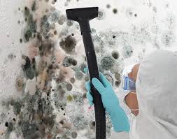 Best Black Mold Removal  in Ashtabula, OH